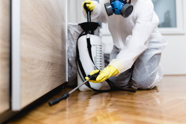 Best Emergency Pest Control  in Fairfield, IA