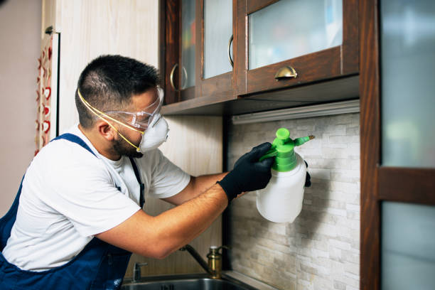 Best Pest Prevention Services  in Fairfield, IA