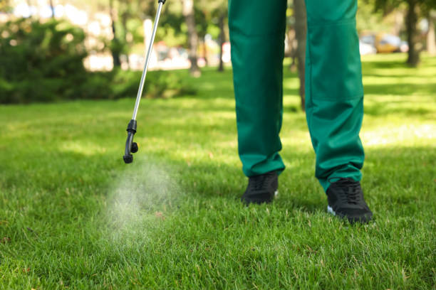 Best Rat Extermination Near Me  in Fairfield, IA