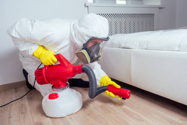 Best Insect Control  in Fairfield, IA