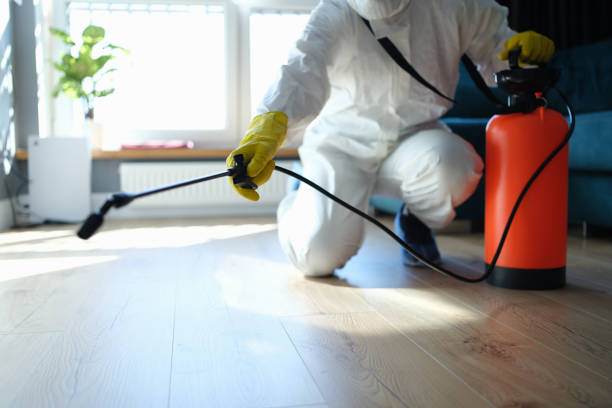 Best Affordable Pest Control Services  in Fairfield, IA
