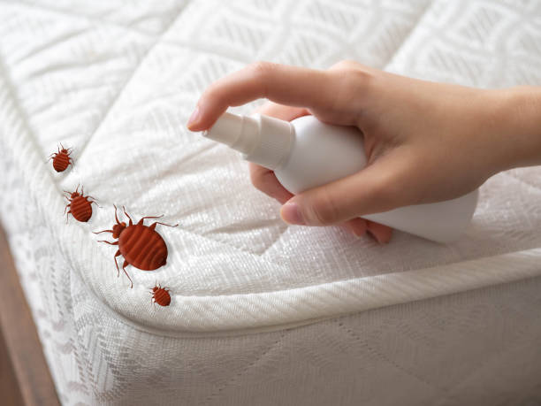 Best Pest Control Near Me in Fairfield, IA