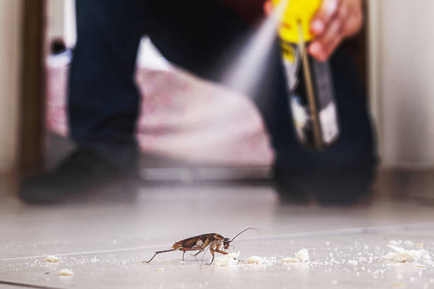 Best Emergency Pest Control  in Fairfield, IA