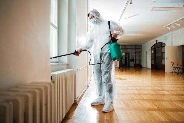 Best Insect Control  in Fairfield, IA