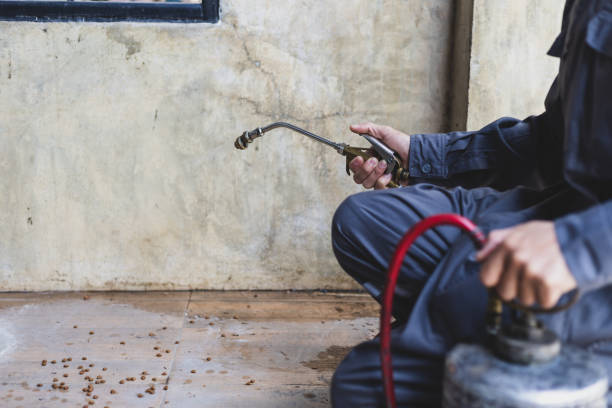 Best Exterminator Services  in Fairfield, IA