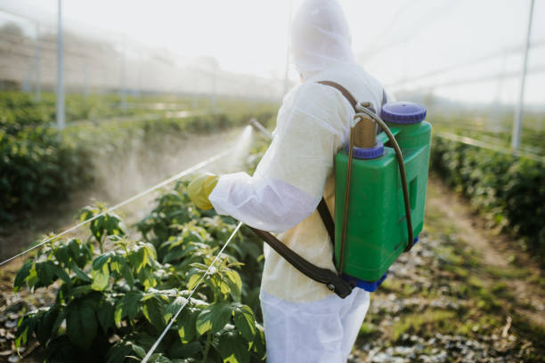 Best Pest Inspection Near Me  in Fairfield, IA